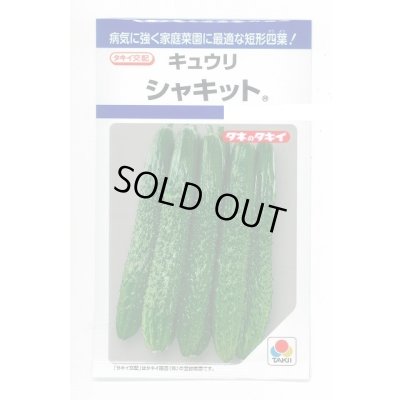 画像1: 送料無料　[キュウリ]　シャキット　15粒　タキイ種苗(株)　DF