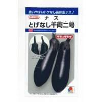 [なす]　とげなし千両二号　35粒　タキイ種苗（株）　DF　