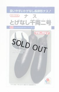 送料無料　[なす]　とげなし千両二号　35粒　タキイ種苗(株)　DF