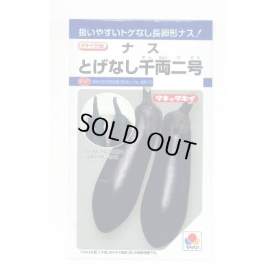 画像1: 送料無料　[なす]　とげなし千両二号　35粒　タキイ種苗(株)　DF