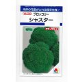送料無料　[ブロッコリー]　シャスター　1.3ml　タキイ種苗(株)　DF