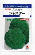 送料無料　[ブロッコリー]　シャスター　1.3ml　タキイ種苗(株)　DF
