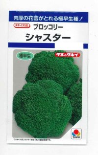 送料無料　[ブロッコリー]　シャスター　1.3ml　タキイ種苗(株)　DF
