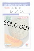 送料無料　[メロン]　レノン　6粒　タキイ種苗　DF