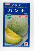送料無料　[メロン]　パンナ　100粒　タキイ種苗