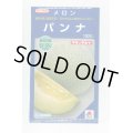 送料無料　[メロン]　パンナ　100粒　タキイ種苗