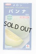 送料無料　[メロン]　パンナ　100粒　タキイ種苗