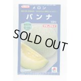 送料無料　[メロン]　パンナ　100粒　タキイ種苗