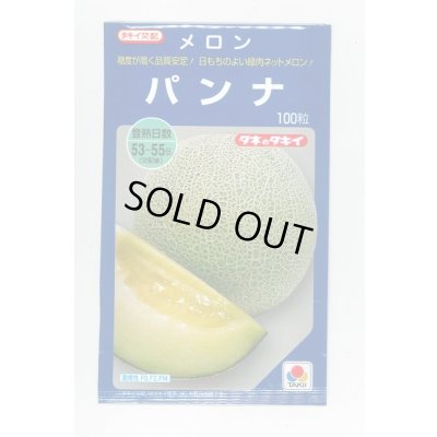 画像1: 送料無料　[メロン]　パンナ　100粒　タキイ種苗