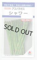 送料無料　アスパラガス　シャワー　1.2ml　タキイ種苗(株)　DF