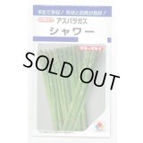 送料無料　アスパラガス　シャワー　1.2ml　タキイ種苗(株)　DF