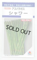 送料無料　アスパラガス　シャワー　1.2ml　タキイ種苗(株)　DF