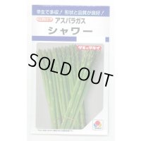 送料無料　アスパラガス　シャワー　1.2ml　タキイ種苗(株)　DF