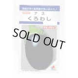 送料無料　[なす]　くろわし　60粒　タキイ種苗(株)　DF