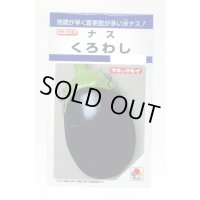 送料無料　[なす]　くろわし　60粒　タキイ種苗(株)　DF