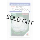 送料無料　[カリフラワー]　スノークラウン　1.3ml　タキイ種苗(株)　DF