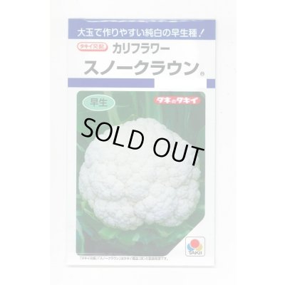 画像1: 送料無料　[カリフラワー]　スノークラウン　1.3ml　タキイ種苗(株)　DF