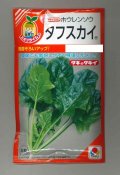 送料無料　[ほうれんそう]　タフスカイ　40ml　タキイ種苗(株)　RF