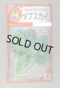 送料無料　[ほうれんそう]　タフスカイ　40ml　タキイ種苗(株)　RF