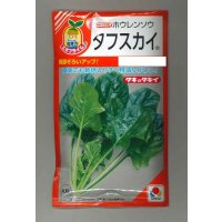 送料無料　[ほうれんそう]　タフスカイ　40ml　タキイ種苗(株)　RF