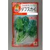 画像1: 送料無料　[ほうれんそう]　タフスカイ　40ml　タキイ種苗(株)　RF (1)