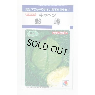 画像1: [キャベツ] 彩峰 1ml(約120粒) タキイ種苗(株) DF