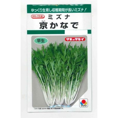画像1: 送料無料　[葉物]　水菜　京かなで　4.5ml　タキイ種苗(株)　GF