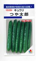 送料無料　[キュウリ]　つや太郎　15粒　タキイ種苗(株)　DF