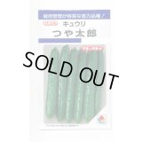 送料無料　[キュウリ]　つや太郎　15粒　タキイ種苗(株)　DF