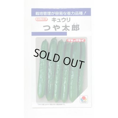 画像1: 送料無料　[キュウリ]　つや太郎　15粒　タキイ種苗(株)　DF