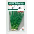 送料無料　[ねぎ]　小夏　15ml　タキイ種苗(株)　GF