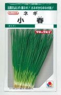 送料無料　[ねぎ]　小春　15ml　タキイ種苗(株)　GF