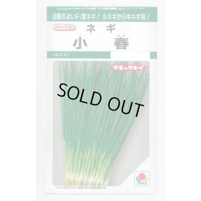 画像1: [ねぎ] 小春 15ml タキイ種苗(株) GF