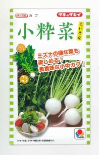[かぶ]　　小粋菜　3ｍｌ　　タキイ種苗（株）