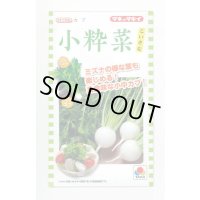 送料無料　[かぶ]　小粋菜　3ml　タキイ種苗(株)