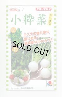 送料無料　[かぶ]　小粋菜　3ml　タキイ種苗(株)