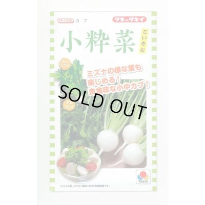 画像1: 送料無料　[かぶ]　小粋菜　3ml　タキイ種苗(株)