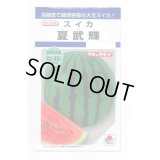 送料無料　[スイカ]　大玉スイカ　夏武輝　9粒　タキイ種苗(株)　DF
