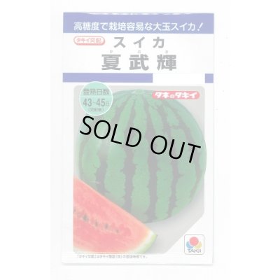画像1: 送料無料　[スイカ]　大玉スイカ　夏武輝　9粒　タキイ種苗(株)　DF
