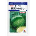 送料無料　[キャベツ]　初夏のかほり　1.1ml　タキイ種苗(株)　DF
