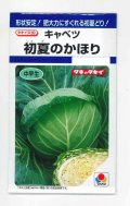 送料無料　[キャベツ]　初夏のかほり　1.1ml　タキイ種苗(株)　DF