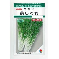 [葉物]　水菜　京しぐれ　5ｍｌ　タキイ種苗　GF　