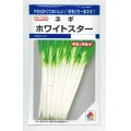 送料無料　[ねぎ]　ホワイトスター　8ml　タキイ種苗(株)　DF