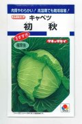 送料無料　[キャベツ]　初秋　1.8ml(約200粒)　タキイ種苗(株)　DF