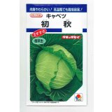 送料無料　[キャベツ]　初秋　1.8ml(約200粒)　タキイ種苗(株)　DF