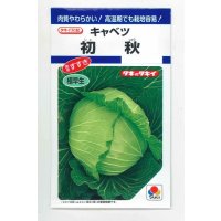 送料無料　[キャベツ]　初秋　1.8ml(約200粒)　タキイ種苗(株)　DF
