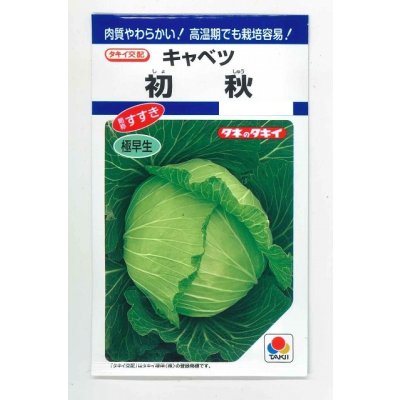 画像1: 送料無料　[キャベツ]　初秋　1.8ml(約200粒)　タキイ種苗(株)　DF