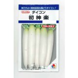 送料無料　大根　初神楽　3.5ml　タキイ種苗(株)　DF