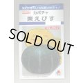送料無料　[かぼちゃ]　栗えびす　19粒　タキイ種苗(株)　DF