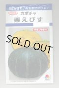 送料無料　[かぼちゃ]　栗えびす　19粒　タキイ種苗(株)　DF